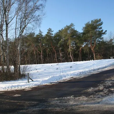 Fw Suennkieker * Dierhagen