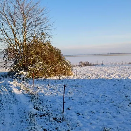Apartment Fw Suennkieker Dierhagen