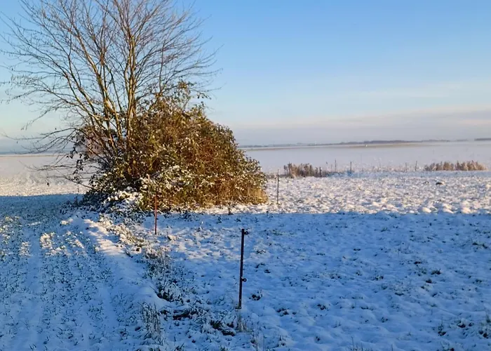 公寓 Fw Suennkieker 奥茨塞巴德·迪尔哈根