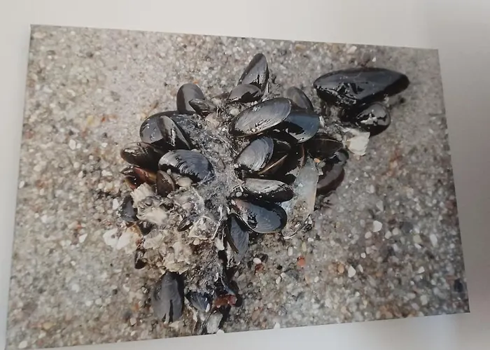 公寓 Fw Suennkieker *